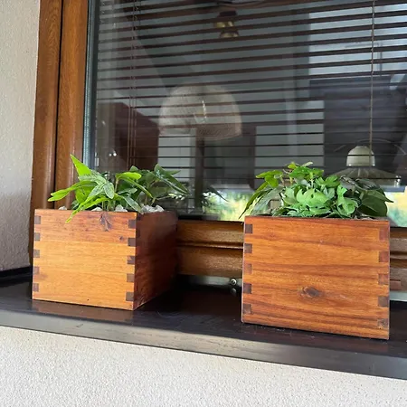 Oeregviz Vendeghaz Szentendre