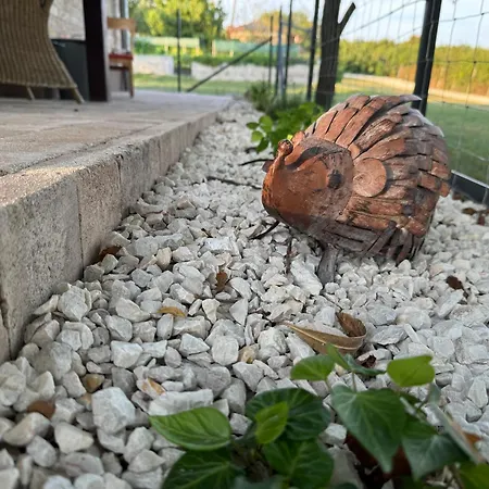 Villa Oeregviz Vendeghaz *