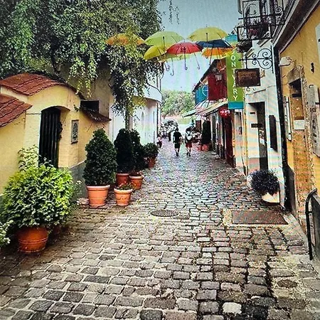 Oeregviz Vendeghaz