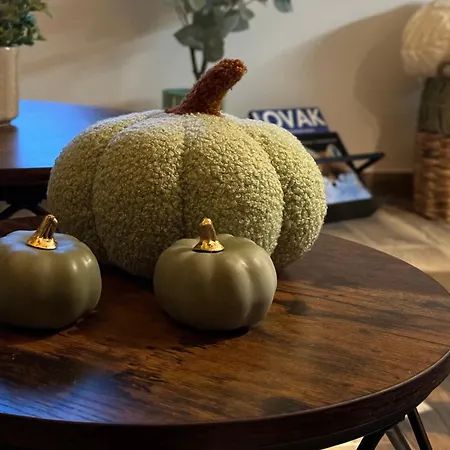 Oeregviz Vendeghaz Szentendre